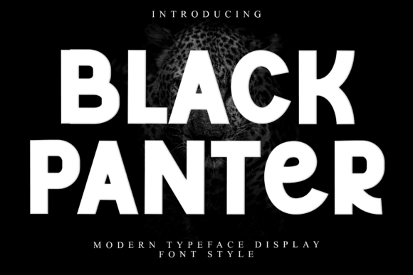 Black Panter: A Designer's Real-World Verdict